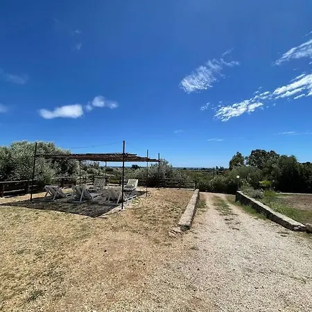 Pedduzza Nel Golfo Di * Orosei