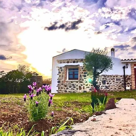 Pedduzza Nel Golfo Di Villa Orosei